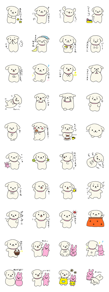 Pretty Maltese Maruchan 2