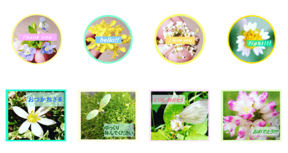FLOWER MESSAGE(photo)