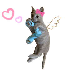 mochi_20201012012016