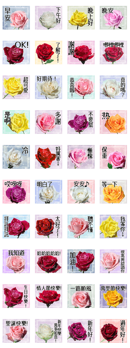 rose1 Chinese (Traditional)