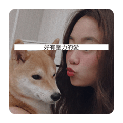 黑皮狗狗2
