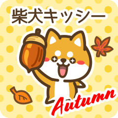 Shiba Kisshii in Autumn