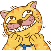 Jackie the cat