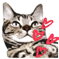 Mac Cat Sticker