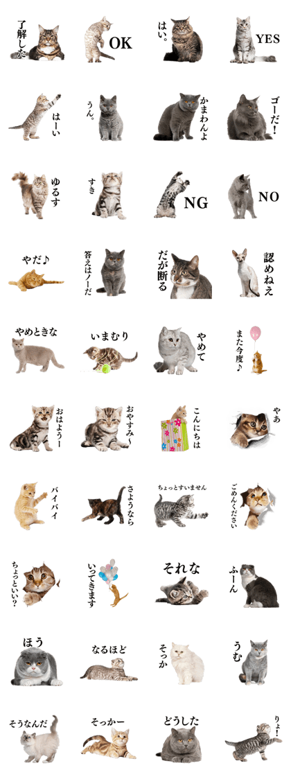 Cat Photo Stickers