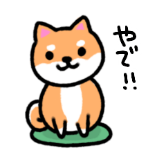 大阪弁の柴犬さん