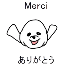 Study French and Japanese