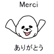 Study French and Japanese