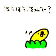 Birds who are in the corner
