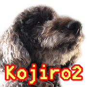 Kojiro2