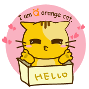 Q orange kitten