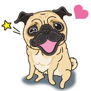 A sticker willingly. Pug 2 (English)