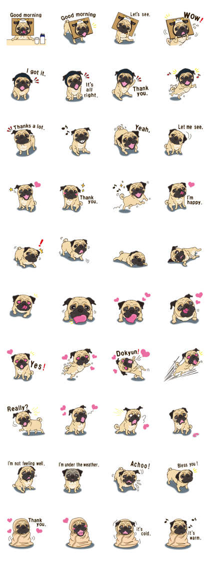 A sticker willingly. Pug 2 (English)