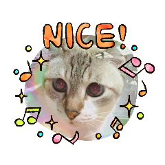 Sharon_20201012124743