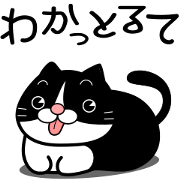 The hachiware cat