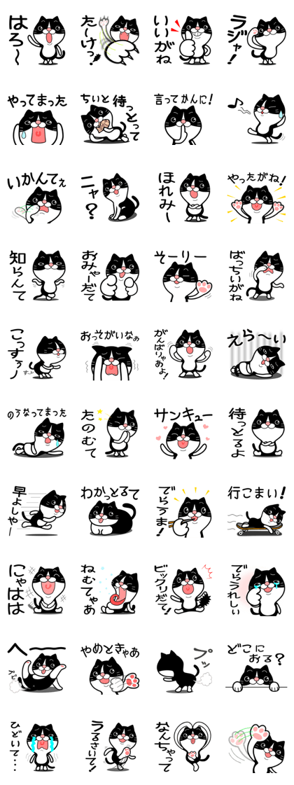 The hachiware cat