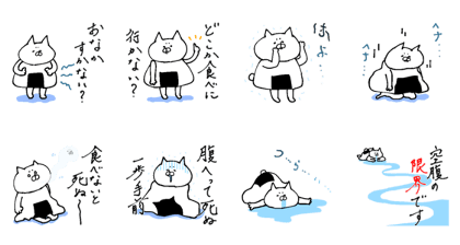 A hungry cat