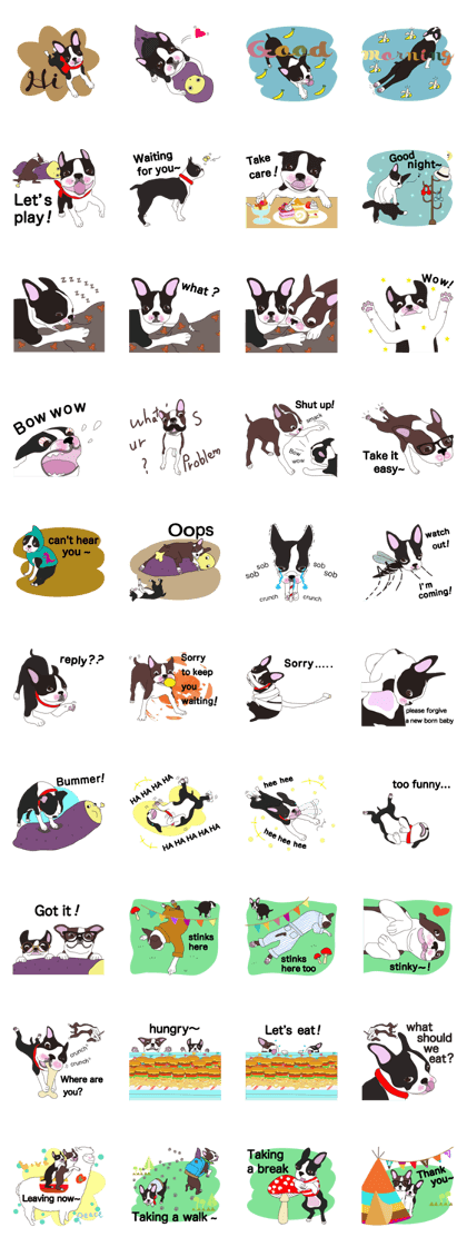 Always be with you! Boston Terrier 2-eng