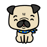 Pug of Dog