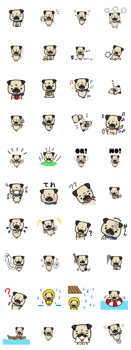 Pug of Dog