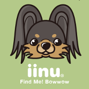 iinu - Russian Toy Terrier
