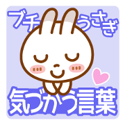 Spots rabbit[big letter] Attentive word