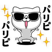 Chala cat