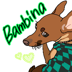 MinipinBambinachan
