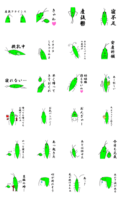 Lassie the grasshopper 3