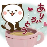 Kitty Panda 14
