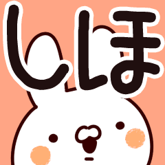 しほちゃん 専用なまえ 名前スタンプ Line スタンプ Line Store