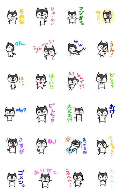 karuyuru Husky