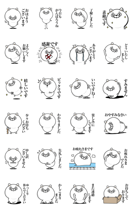 Every day honorific cat