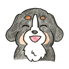Cute Bernese Mountain dog stickers