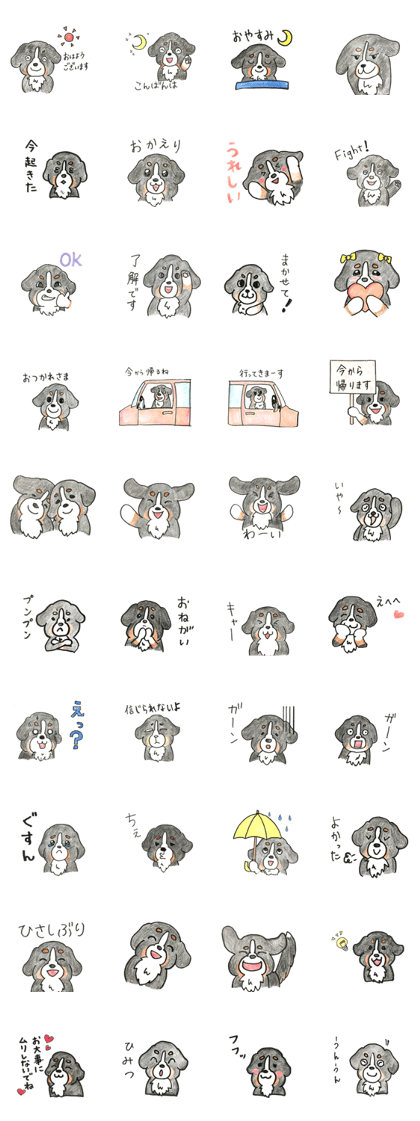 Cute Bernese Mountain dog stickers