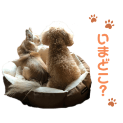 natsumi_20201012161133