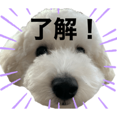 asuka_20201011235132