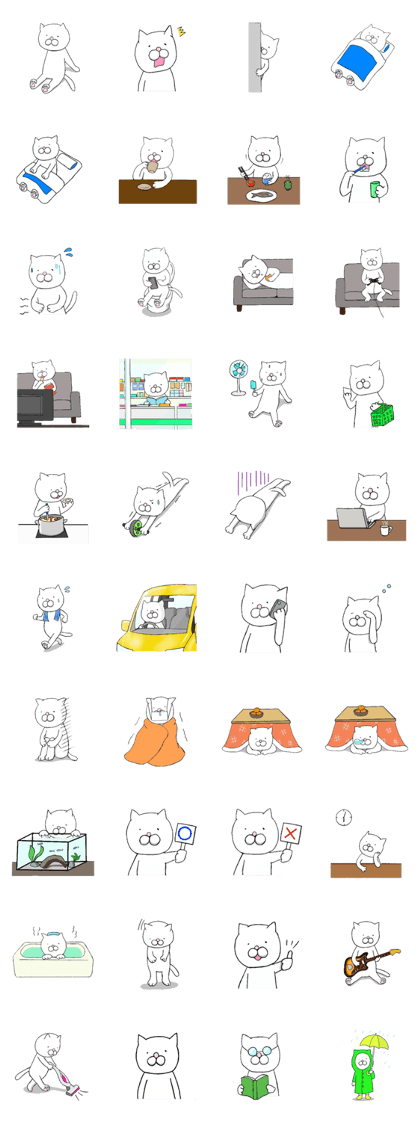 Shirosuke of cat