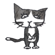 black and white cute cats