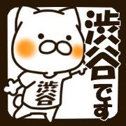 SHIBUTANI-cat