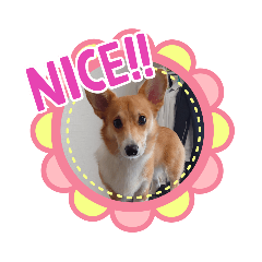 KAITO_20201012180145