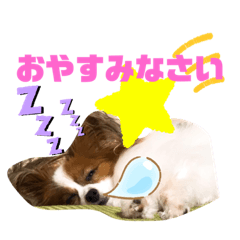chihiro_20201012182824