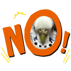 yuina_20201012192402