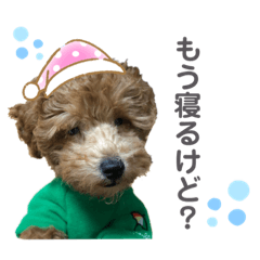 natsumi_20201012214019