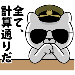 Military cat 4