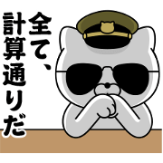 Military cat 4
