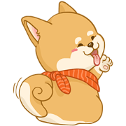 Shiba Inu Mocca