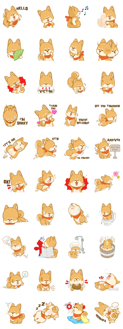 Shiba Inu Mocca