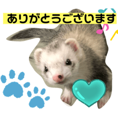 CHIE_20201012235919