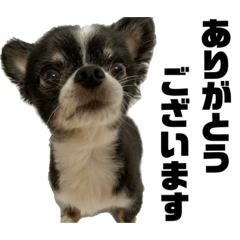 kanae_20201013021010